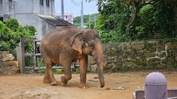 沖縄こどもの国に投稿された画像（2025/4/12）