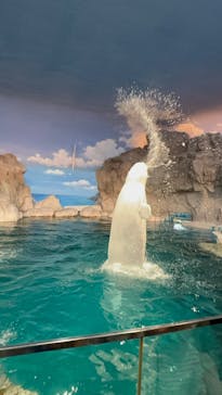 名古屋港水族館に投稿された画像（2025/4/12）