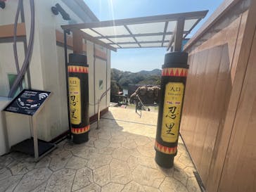 ニジゲンノモリに投稿された画像（2025/4/12）