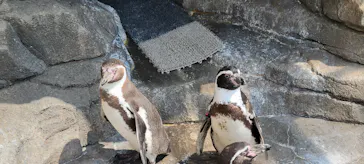 仙台うみの杜水族館に投稿された画像（2025/4/12）