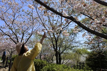 名古屋市東山動植物園に投稿された画像（2025/4/12）