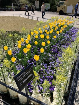 名古屋市東山動植物園に投稿された画像（2025/4/12）