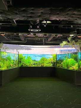 カワスイ 川崎⽔族館に投稿された画像（2025/4/12）