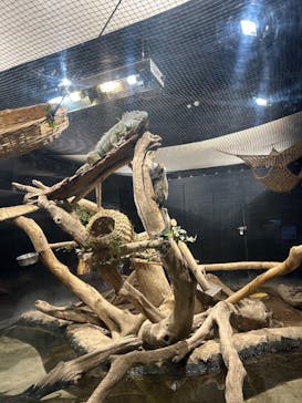 カワスイ 川崎⽔族館に投稿された画像（2025/4/12）