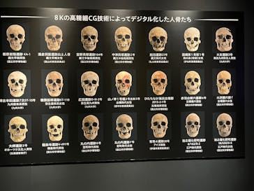 特別展「古代DNA－日本人のきた道」（国立科学博物館）に投稿された画像（2025/4/12）