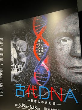 特別展「古代DNA－日本人のきた道」（国立科学博物館）に投稿された画像（2025/4/12）