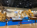 福井県立恐竜博物館に投稿された画像（2025/4/12）