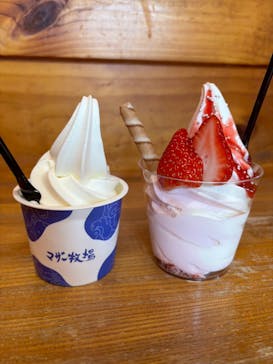 マザー牧場に投稿された画像（2025/4/12）