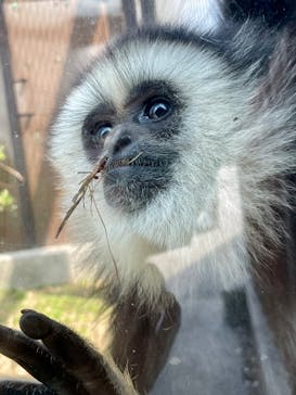 東武動物公園に投稿された画像（2025/4/12）