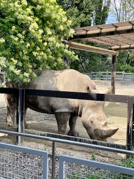 東武動物公園に投稿された画像（2025/4/12）