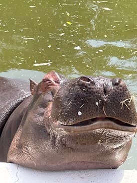 東武動物公園に投稿された画像（2025/4/12）