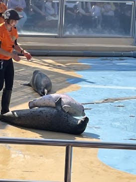 東武動物公園に投稿された画像（2025/4/12）