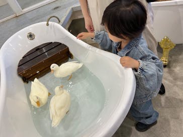 アニタッチみなとみらいに投稿された画像（2025/4/12）