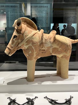特別展「古代DNA－日本人のきた道」（国立科学博物館）に投稿された画像（2025/4/12）