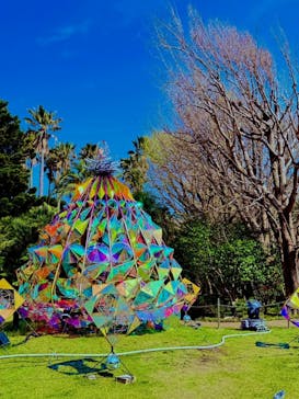 江の島1dayに投稿された画像（2025/4/12）