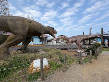 伊豆ぐらんぱる公園に投稿された画像（2025/4/12）