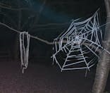 ニジゲンノモリに投稿された画像（2025/4/12）