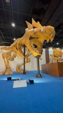 福井県立恐竜博物館に投稿された画像（2025/4/12）