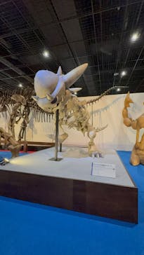 福井県立恐竜博物館に投稿された画像（2025/4/12）