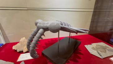 福井県立恐竜博物館に投稿された画像（2025/4/12）