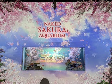 マクセル アクアパーク品川に投稿された画像（2025/4/12）