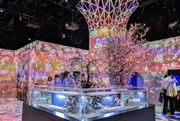 マクセル アクアパーク品川に投稿された画像（2025/4/12）