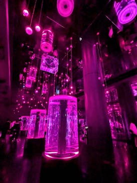 マクセル アクアパーク品川に投稿された画像（2025/4/12）