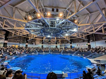 マクセル アクアパーク品川に投稿された画像（2025/4/12）