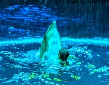 マクセル アクアパーク品川に投稿された画像（2025/4/12）