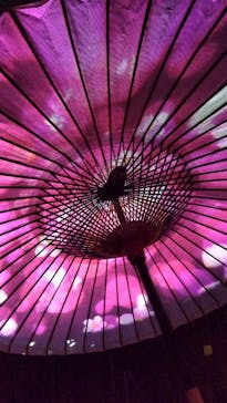 NAKED meets 二条城 2025 観月に投稿された画像（2025/4/12）