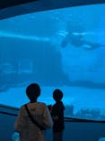 名古屋港水族館に投稿された画像（2025/4/13）