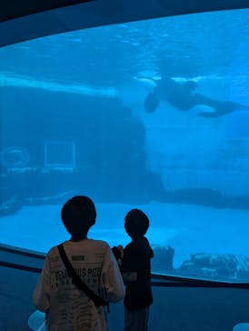 名古屋港水族館に投稿された画像（2025/4/12）
