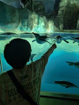 名古屋港水族館に投稿された画像（2025/4/12）