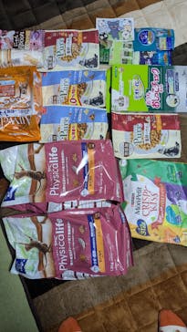 猫好きさんの祭典「にゃんだらけ19」に投稿された画像（2025/4/12）