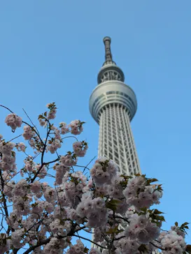 東京スカイツリーに投稿された画像（2025/4/12）