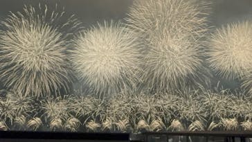 富士山花火 VS スピードウェイ 2026に投稿された画像（2025/4/12）