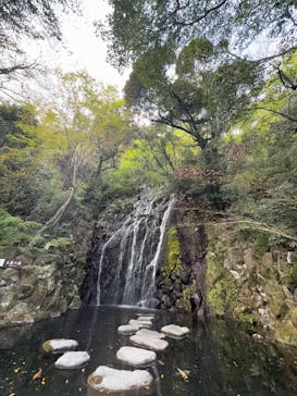 箱根湯本温泉 天成園に投稿された画像（2025/4/12）