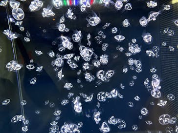 アクアワールド茨城県大洗水族館に投稿された画像（2025/4/13）