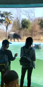 多摩動物公園に投稿された画像（2025/4/13）