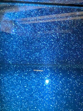 特別展「チ。 ―地球の運動について― 地球(いわ)が動く」に投稿された画像（2025/4/13）