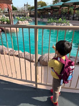 鈴鹿サーキットに投稿された画像（2025/4/13）