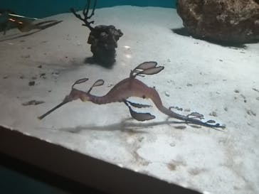 葛西臨海水族園に投稿された画像（2025/4/13）