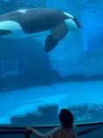 名古屋港水族館に投稿された画像（2025/4/13）