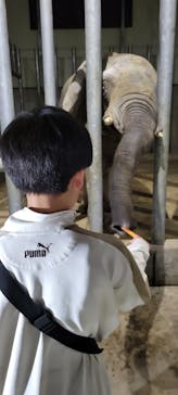 しろとり動物園に投稿された画像（2025/4/13）