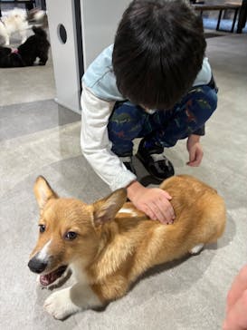 カワスイ 川崎⽔族館に投稿された画像（2025/4/13）