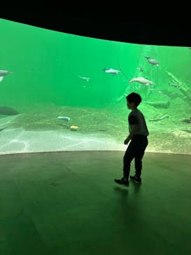 カワスイ 川崎⽔族館に投稿された画像（2025/4/13）