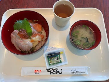 アクアワールド茨城県大洗水族館に投稿された画像（2025/4/13）