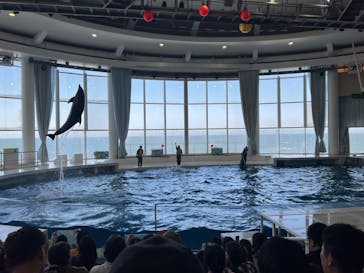 アクアワールド茨城県大洗水族館に投稿された画像（2025/4/13）