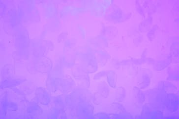 アクアワールド茨城県大洗水族館に投稿された画像（2025/4/13）