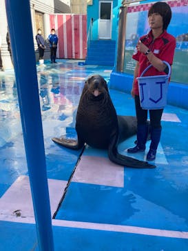 ゼロ距離水族館 伊勢シーパラダイスに投稿された画像（2025/4/13）